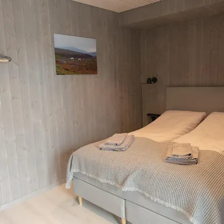 Modern In Henningsvaer